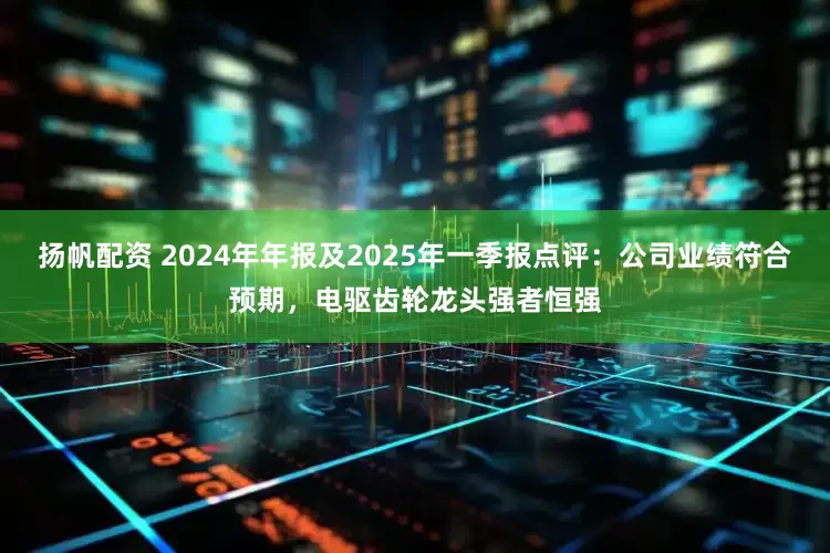 扬帆配资 2024年年报及2025年一季报点评:公司业绩符合预期,电驱齿轮龙头强者恒强