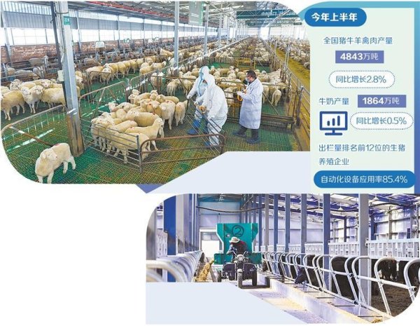 科创之星 畜牧业提质增效步伐加快